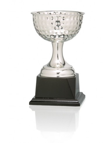 Trofeo golf 91-6781