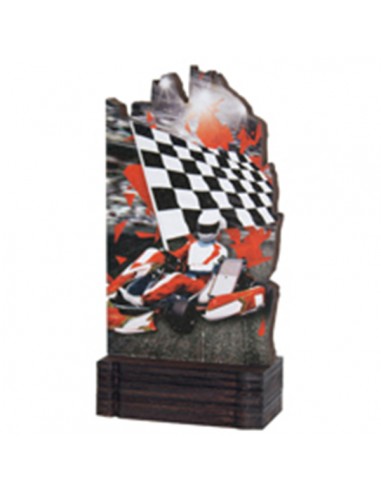 Trofeo deportes Karts 22415
